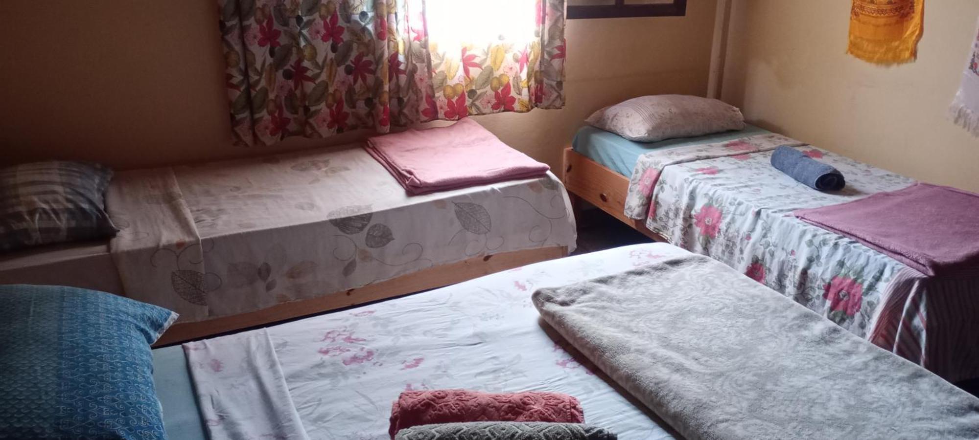 O Brejo Encantado Hospedagem E Hostel Embu Eksteriør bilde